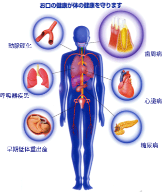 全身の健康